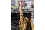 Riviera Alto Saxophone - Encore Riviera Alto Saxophone - Encore